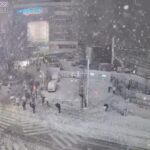 【画像】東京都新宿の雪やばすぎるｗｗｗｗｗｗｗｗ