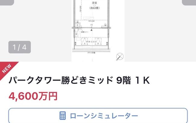 東京、1Kで4600万円