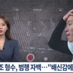 【悲報】 「裏切りを懲らしめてやろうと」　サッカー韓国代表・黄義助の違法動画事件、兄嫁が犯行自白 ・・