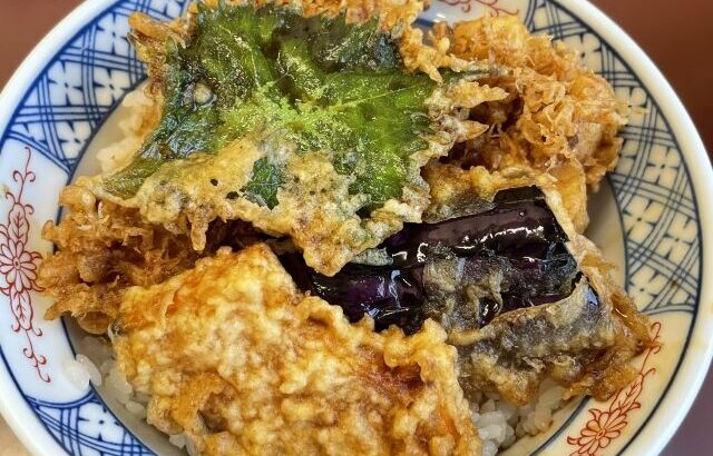 江戸時代「天ぷらあります、天つゆあります、白米あります、でも天丼はありません」←は？