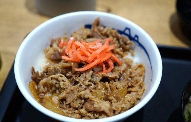 牛丼に紅生姜入れるタイプか？