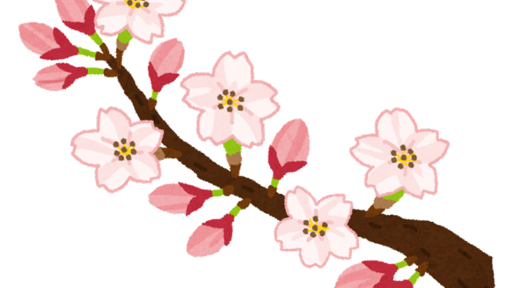 【画像】桜の開花状況wwwwwwwwwwwwwwwwwwwww