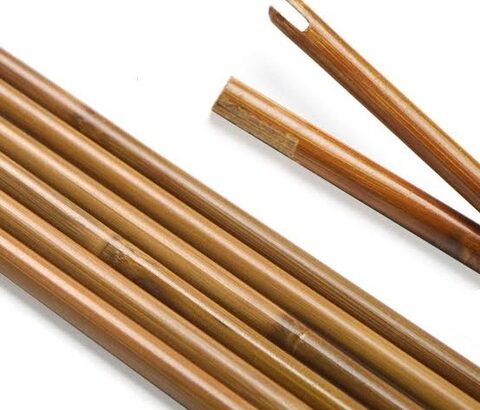 (ヽ´ん`)「中学の頃、竹の棒を剣に見立てて庭で遊んでいた」
