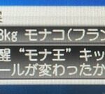 【画像】南野タキ…北朝鮮戦の障害文言がヤバいｗｗｗｗｗｗｗ