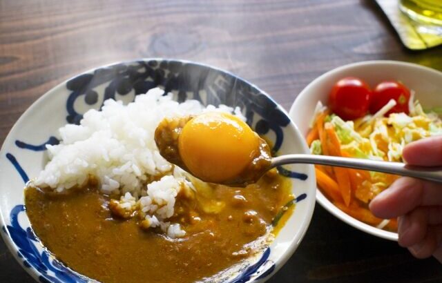 カレーにゆで卵←わかる　カレーに温泉卵←まぁ…わかるよ　カレーに生卵←？！