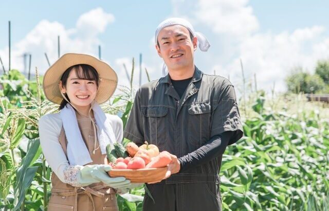 農業でキツイ作物ってなんや？