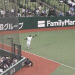 【西武対広島オープン戦】西武・コルデロ落球…