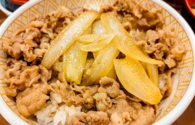 各種牛丼チェーンはいい加減ご飯を「あつあつ」か「冷や飯」か選べるようにしろや