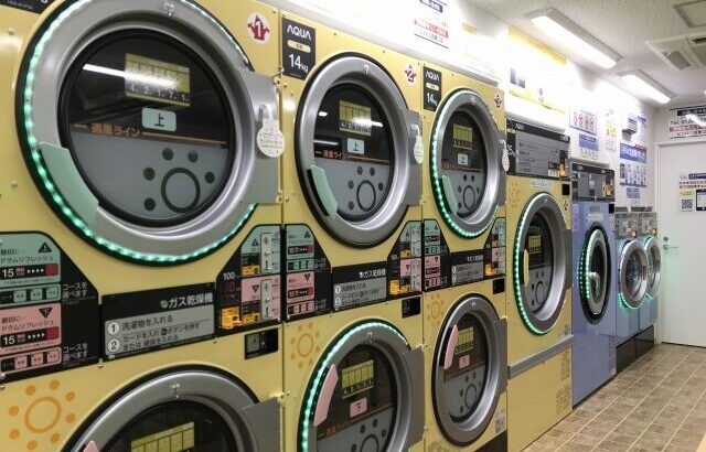 10万の洗濯機買ったとしてコインランドリーが1回1000円やとしたら元取るのに100回も洗濯せなアカン