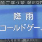 【広島対DeNAオープン戦】広島対DeNAは7回途中雨天コールドで引き分け