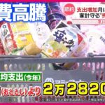 【経済】日本人の平均所得、「200万～300万円未満が最多」の現実とは？