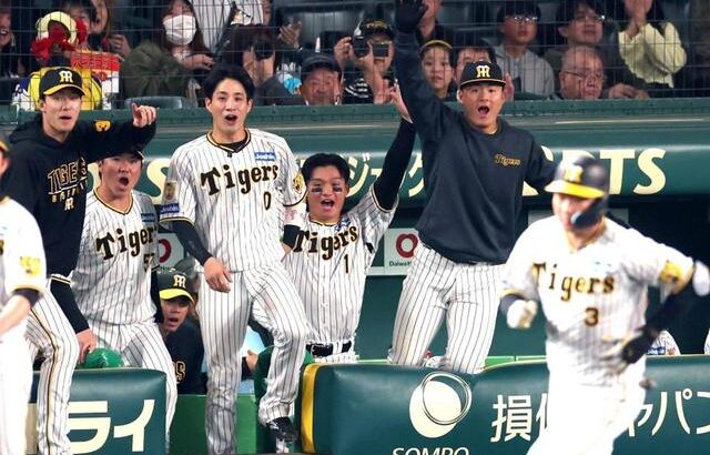【プロ野球】阪神タイガース野手ドラフト