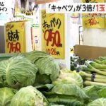 【驚愕】キャベツ1玉がなんと1000円に⁉ 食品価格の高騰が飲食店に厳しい影響・・・