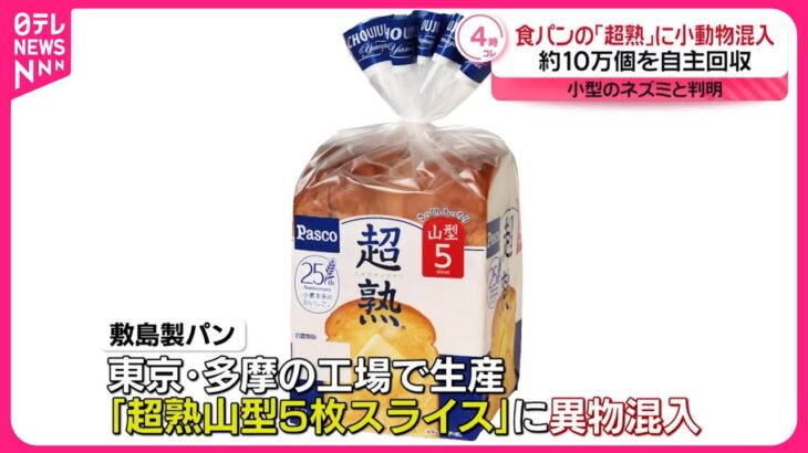 【衝撃】食パン「超熟」にネズミの一部混入‼ 群馬県内で販売された驚きの事件とは？