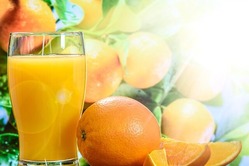 【悲報】オレンジジュース、ついに日本から消える
