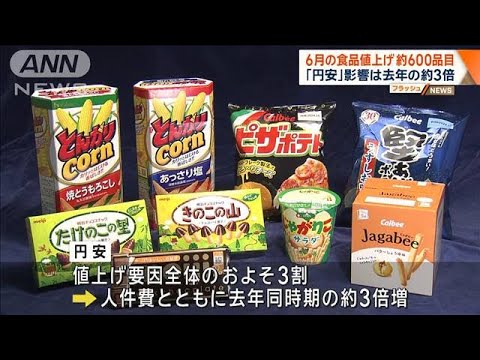 【経済】６１４品目が値上げ、家計に影響を与える食品の動向とは？