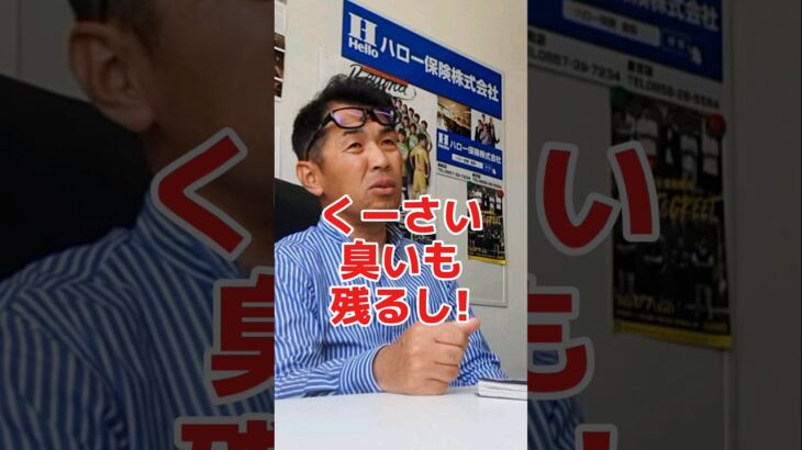 車が水没した時に自動車保険はどう役に立つ？#社長 #社長さん #社長と部下  #インタビュー #社長インタビュー #社長に質問 #保険代理店 #保険屋さん #自動車保険 #水没 #台風 #洪水