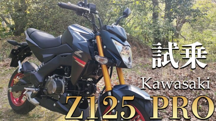 Z125 PRO（カワサキ）試乗インプレッション。とことん遊べるバイク！