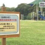 宇都宮の公園 電気送る銅線ケーブルが盗まれたか 停電続く