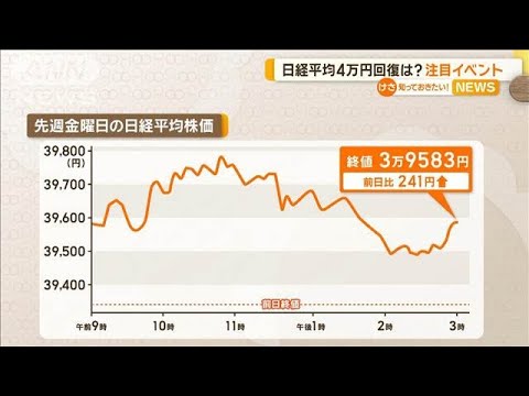 【経済】円相場が約37年ぶりに大幅下落‼ その背景と今後の展望とは？
