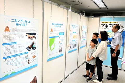 「竹島のアシカ絶滅は日本のせい」…韓国主張に領土館がパネル展示、不法占拠直後「数百頭生息」