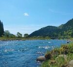 【悲報】日本、流石に暑すぎてガチ目にヤバい