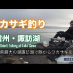 岡谷市・諏訪湖で楽しむ本格的なワカサギ岸釣りの魅力とは？