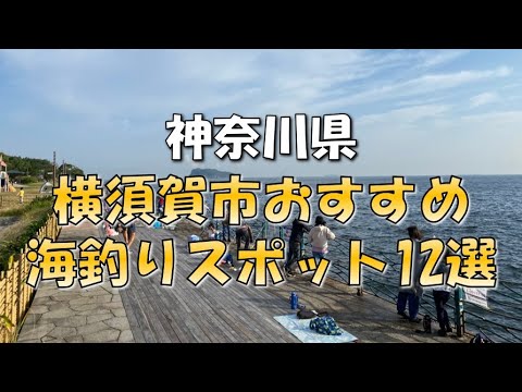 「神奈川県の釣りスポットを徹底解説！おすすめのポイント5選」