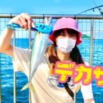 「釣り方は色々！うみかぜ公園でのタチウオやアジ、マコガレイの釣り攻略法」