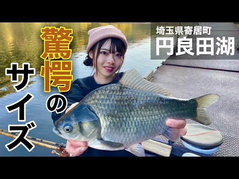 「円良田湖での釣果大公開！ヘラブナ釣りの楽しみ方」