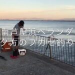 千葉の相浜港で楽しむフカセ釣りの醍醐味【釣りブログ】