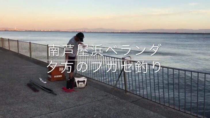 千葉の相浜港で楽しむフカセ釣りの醍醐味【釣りブログ】