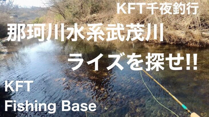栃木の武茂川での渓流釣りが人気急上昇！