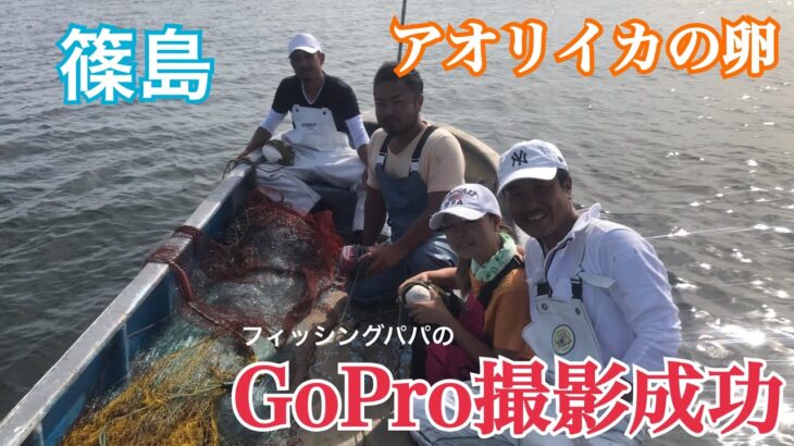 久米島のアオリイカ釣りで挑戦！おすすめの釣り場を詳しく紹介