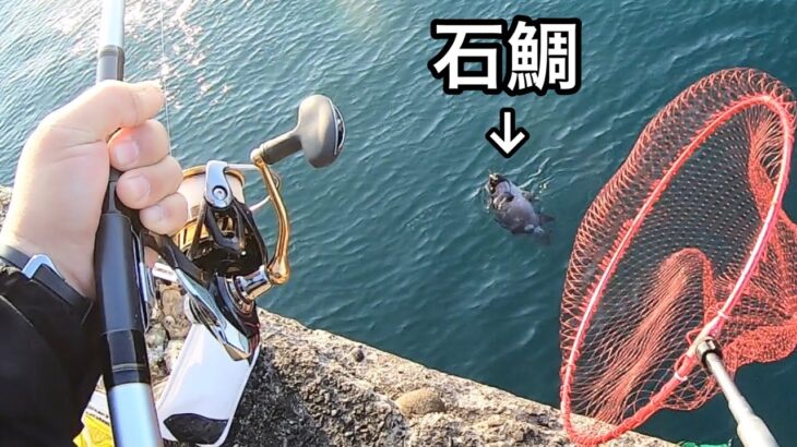 「バカほどデケェ」ウソのような大物が釣れる！釣りいろはの最新動画に注目！