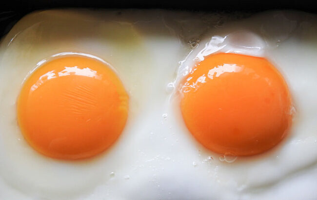 一人暮らしの卵の使い道、卵かけご飯と目玉焼きしかないｗｗｗｗｗｗｗ