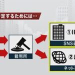 蓮舫氏、誹謗中傷には開示請求で断固対応へ。