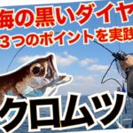 東京湾口でのクロムツ釣りで本命2ケタ釣果に興奮！豊富なダブルヒットも多数