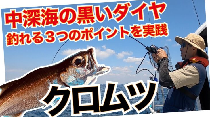 東京湾口でのクロムツ釣りで本命2ケタ釣果に興奮！豊富なダブルヒットも多数