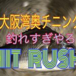 「2024年7月22日の大阪湾奥ライトルアー釣り情報をチェック！」