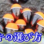 磯フカセ釣りの醍醐味！45cmの尾長グロ、62cmの4.5kgイシダイに歓喜の釣り日和♪