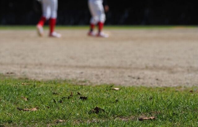 野球強くない高校の野球部入るヤツって何が目的なん？