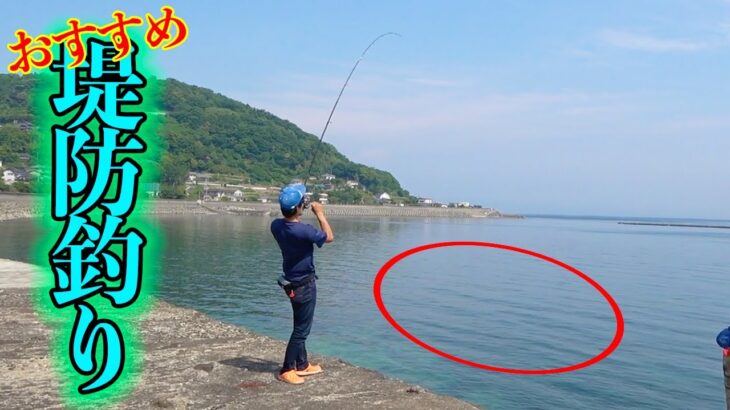 釣り人800人が選ぶ！夏に釣りたい魚TOP5で1位に輝くのはキス！