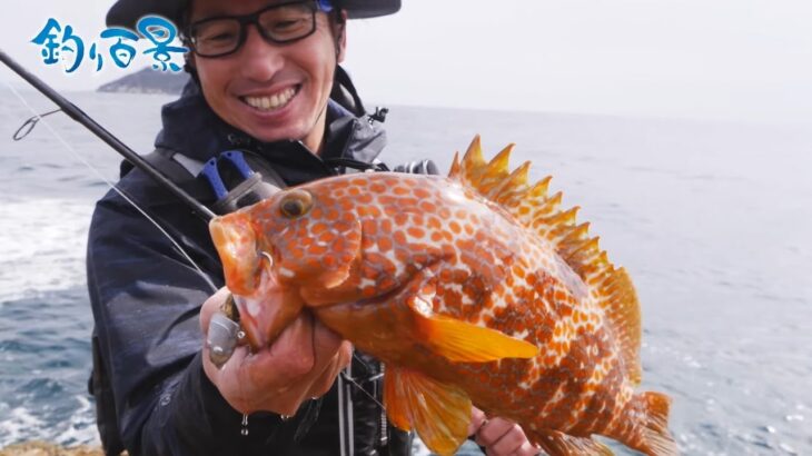 北勢～駿遠でキジハタ５６センチが新たに出現！釣り好き注目の話題