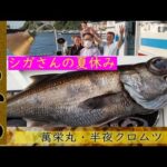 神奈川で人気の洋征丸で楽しむコマセ五目釣り！多彩な魚種を一度に楽しめる船釣りの醍醐味