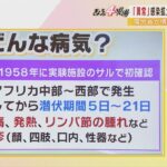 【国際】アフリカでサル痘（エムポックス）感染拡大、WHOが緊急委開催へ‼