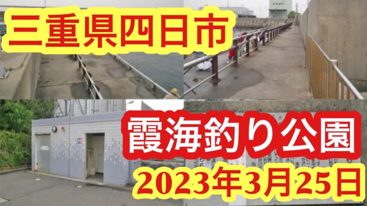 三重県の絶好の釣りスポット！四日市港で楽しむ釣り仲間との一日