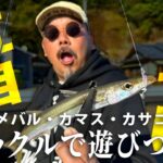 「楽園のような海でヒラメやブリをゲット！釣り好きにはたまらない場所」