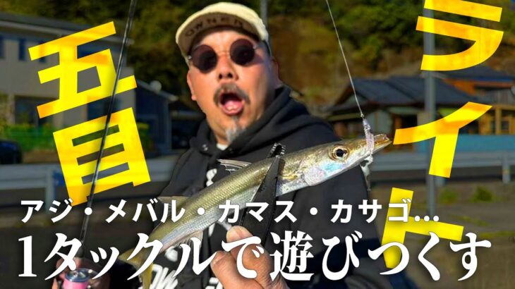 「楽園のような海でヒラメやブリをゲット！釣り好きにはたまらない場所」