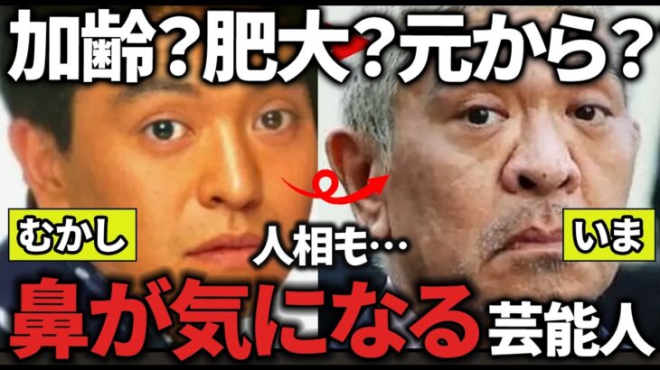 【マジかよ】加齢?肥大?元から?整形じゃないけど鼻が気になる芸能人教えてw